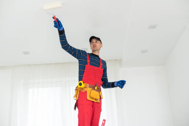 Reliable Westlake, LA Painting & Drywall Installation Solutions